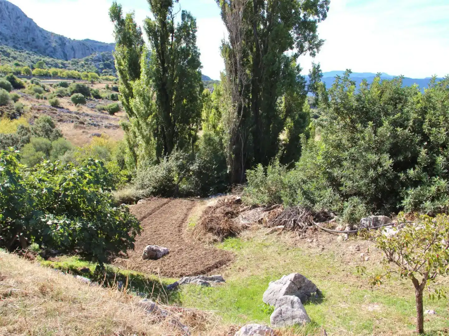 Piso en venta en Benaocaz con Jardín privado, Trastero y Piscina