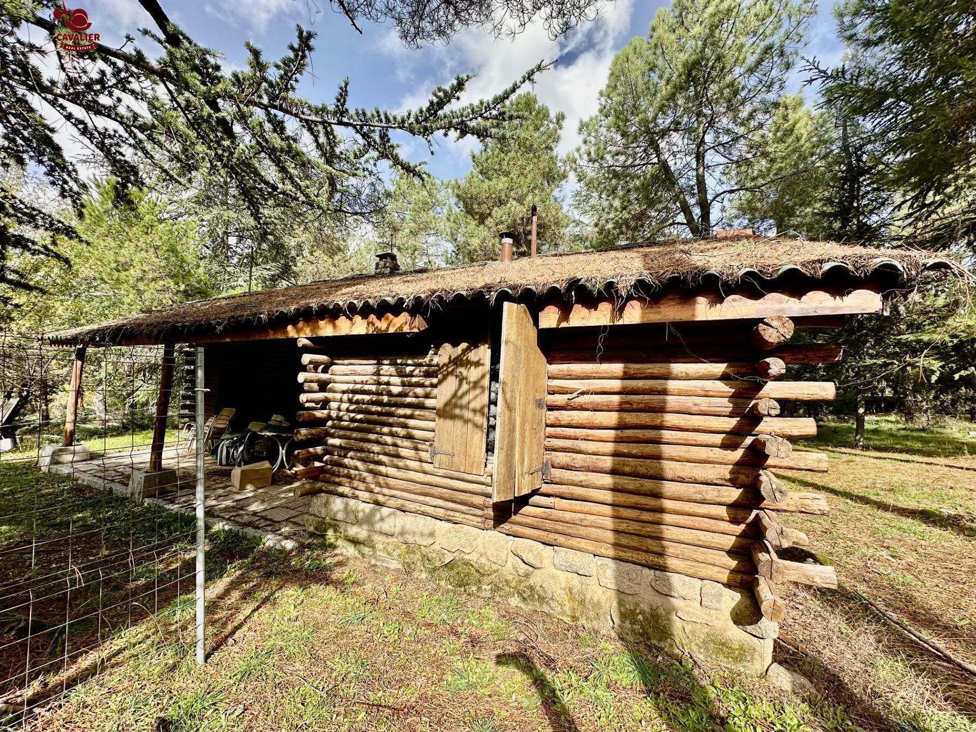 Exterior view of House or chalet for sale in Los Molinos  with Heating, Private garden and Terrace