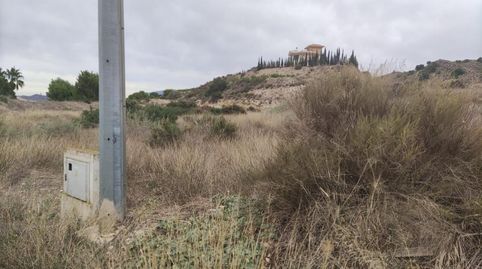 Totana/Terreno, immagine 2