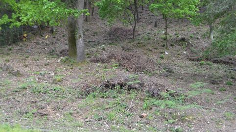 TERRENO  EN BOSCOS DEL MONTNEGRE, imatge 2