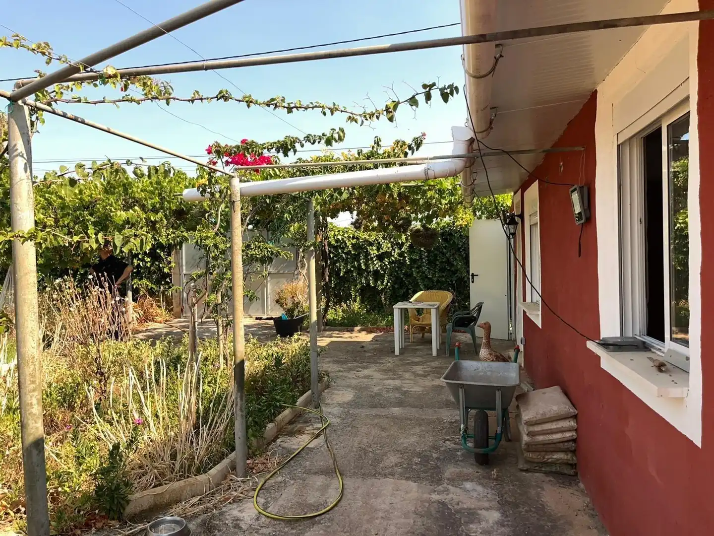 Jardí de Finca rústica en venda en  Palma de Mallorca amb Jardí privat i Terrassa
