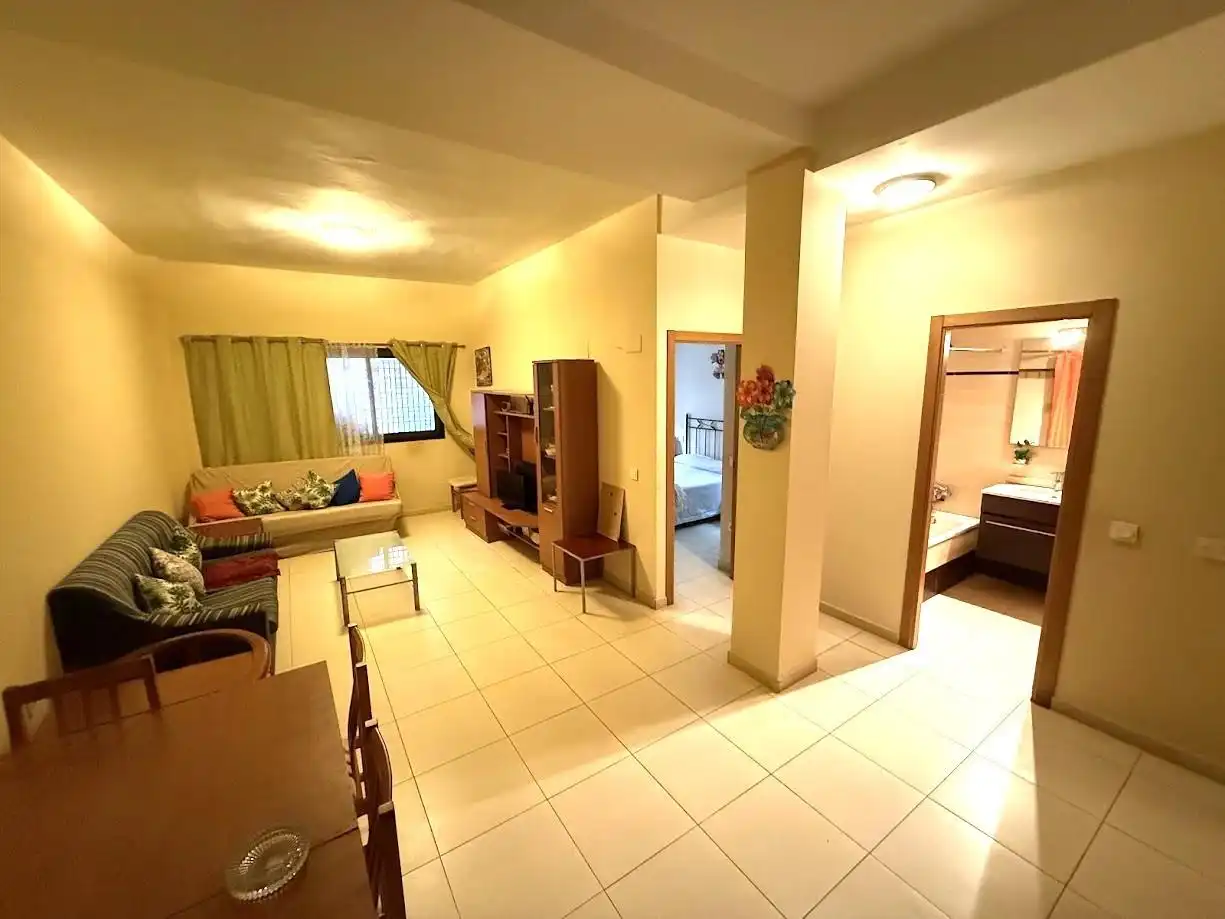Living room of Flat for sale in Alginet