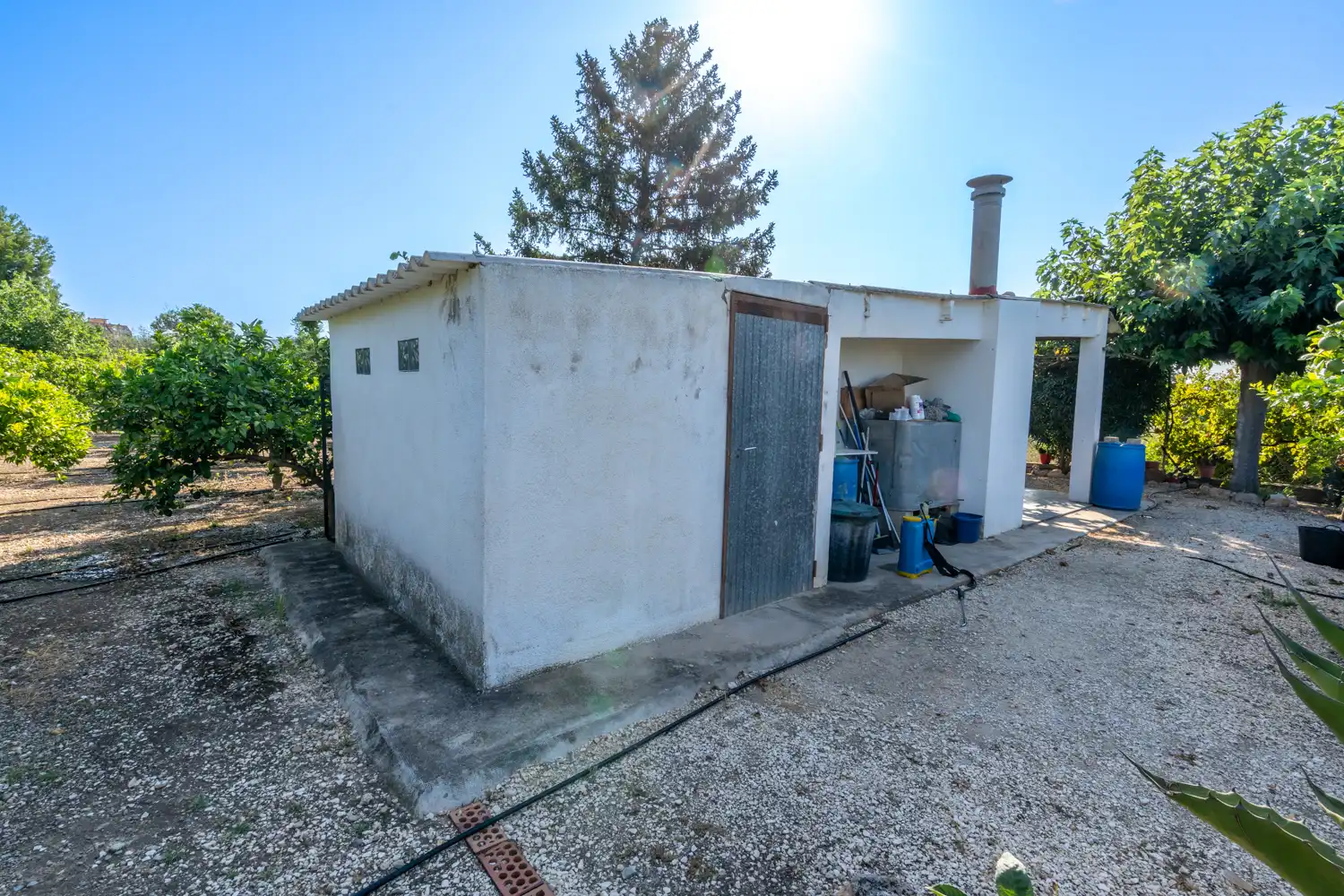 Terreno rustico in vendita a Passeig Manel Cid, imagen 15