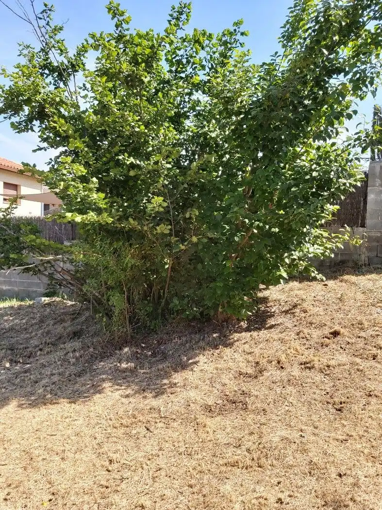 Residential land for sale in Avinguda Vallserrat, imagen 7
