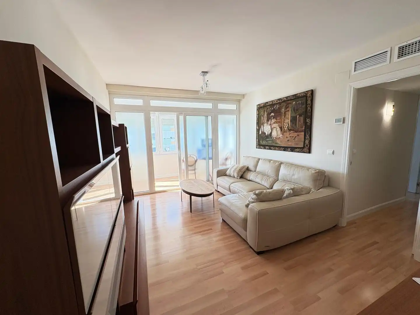Sala d'estar de Pis en venda en Cádiz amb Aire condicionat i Calefacció