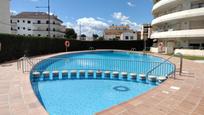 Swimming pool of Study for sale in L'Estartit