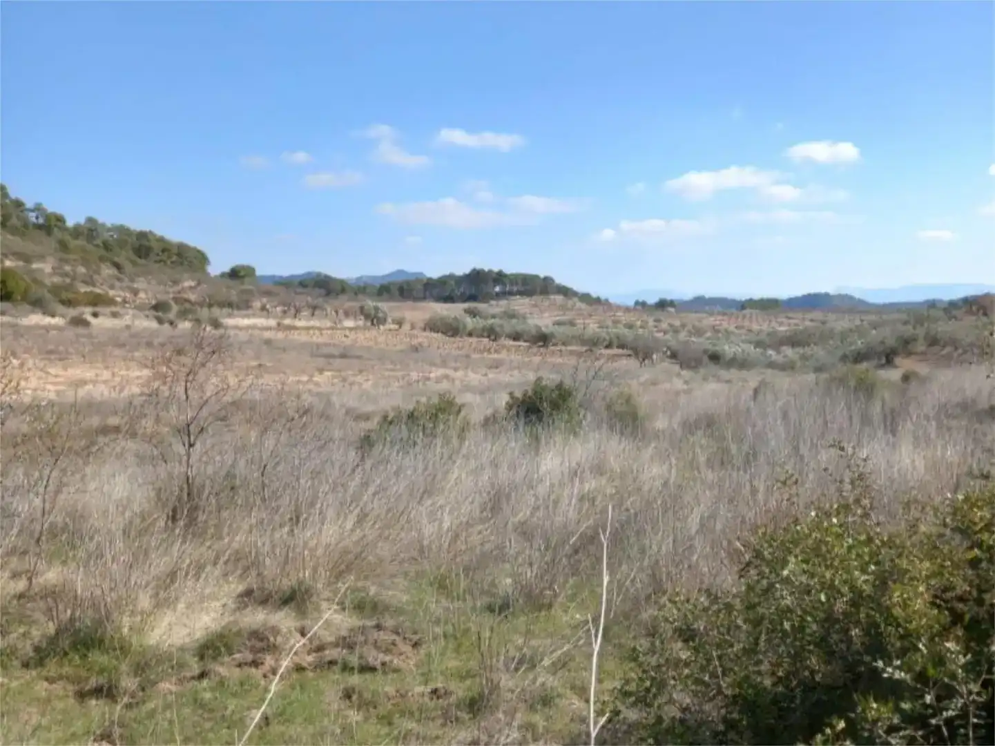 Terreno en venta en Corbera d'Ebre
