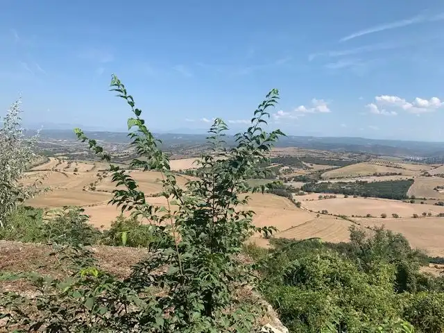 Casa adosada en venda en Sant Guim de la Plana amb Jardí privat, Traster i TV