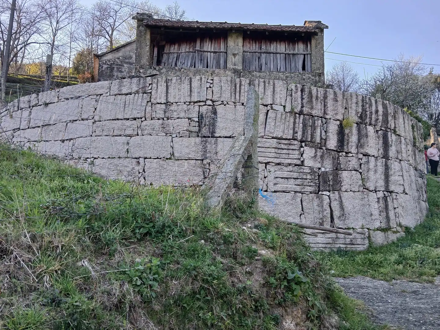 Vista exterior de Casa o chalet en venta en As Neves   con Jardín privado