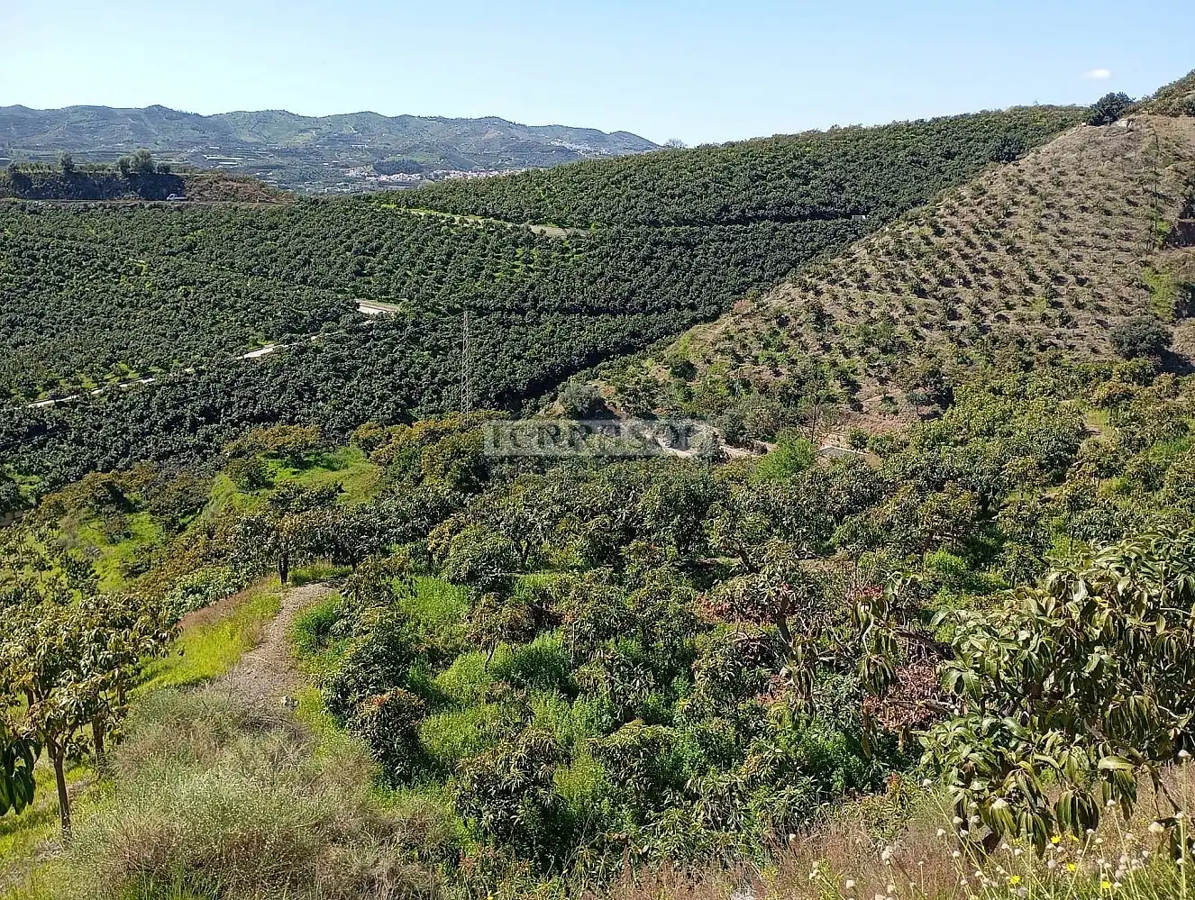 Grundstücke und Bauplätze zum Verkauf in Vélez-Málaga ciudad, imagen 2