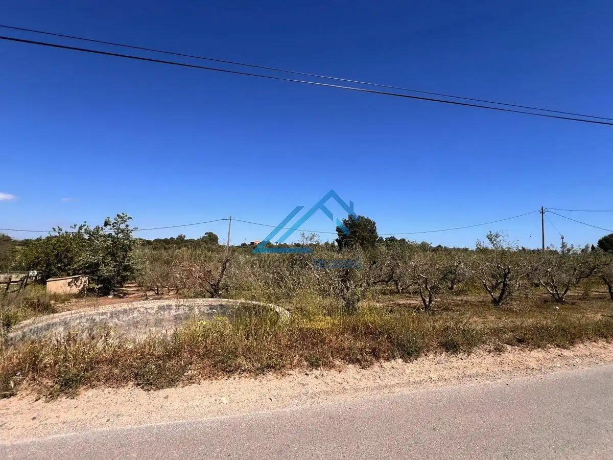 Land for sale in Vinyols i els Arcs