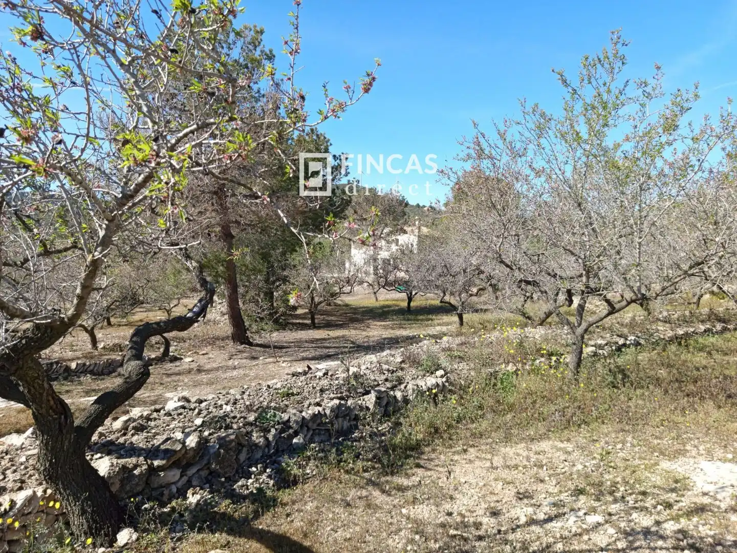 Landhaus zum Verkauf in RJGC+P9 Coll de l'Alba, imagen 28