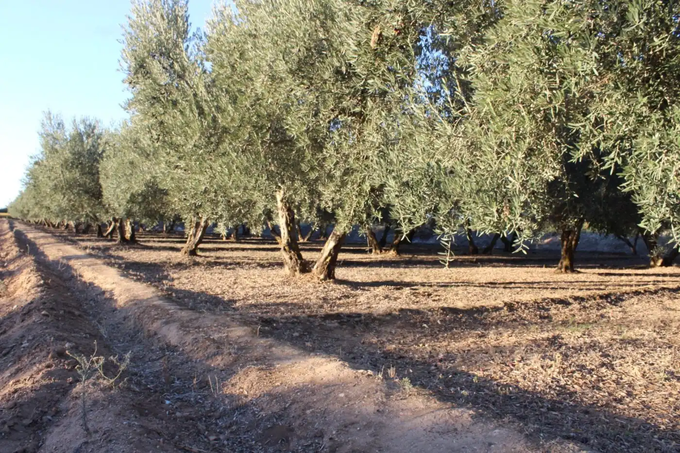 Country homes for sale in Villa de Otura, Granada