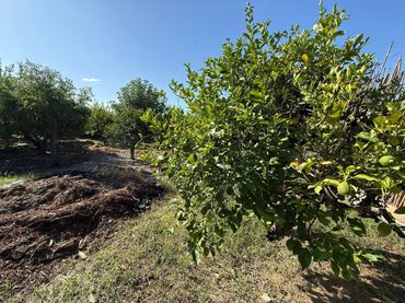 Terreno rustico in vendita a Pedanías Oeste
