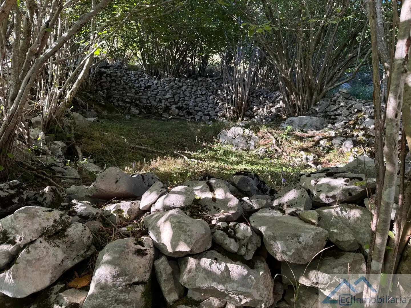 Finca rústica en venta en Ruesga