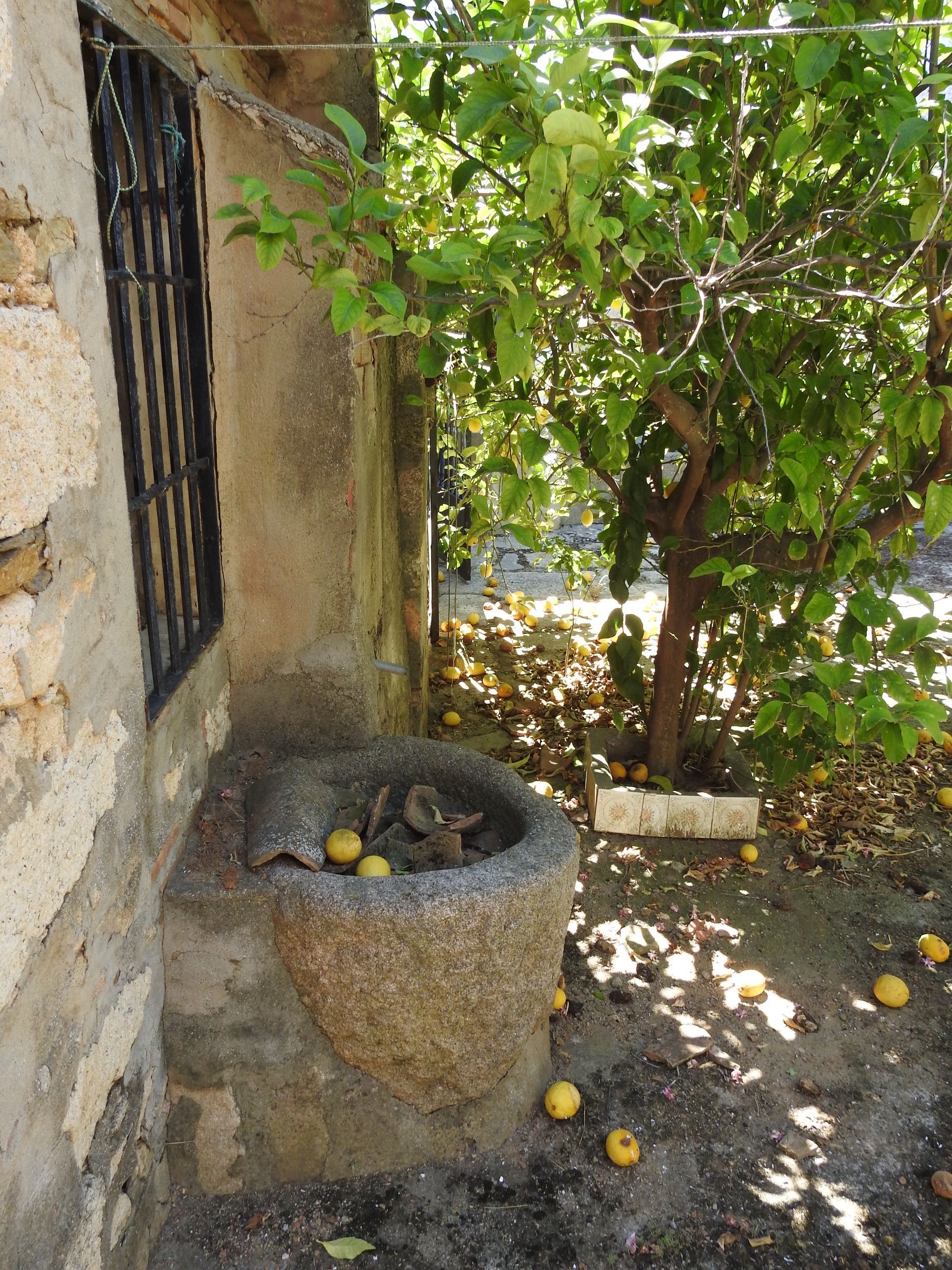 Jardín de Finca rústica en venta en Valdeverdeja