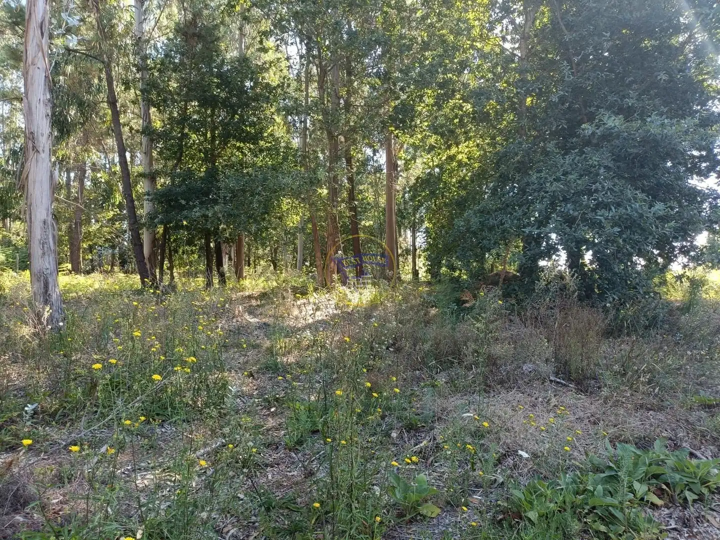 Casa o chalet en venta en Vigo  con Trastero, Amueblado y Balcón