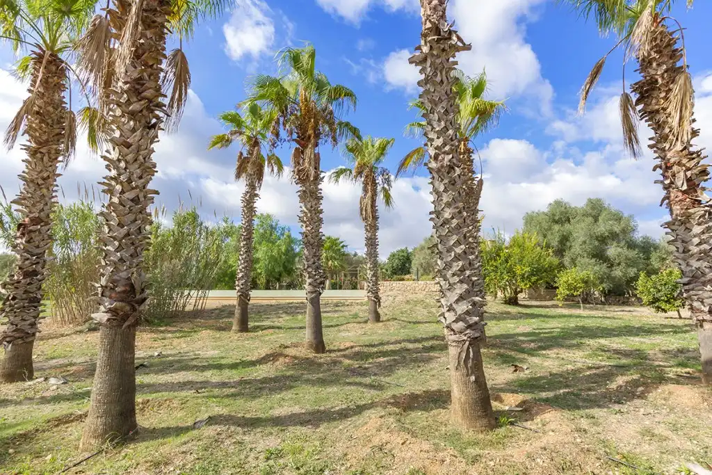 Maison rustique avec piscine à vendre à Manacor Centre, imagen 19