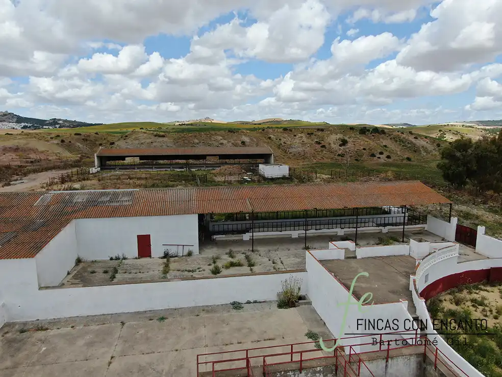 Country homes for sale in Espera