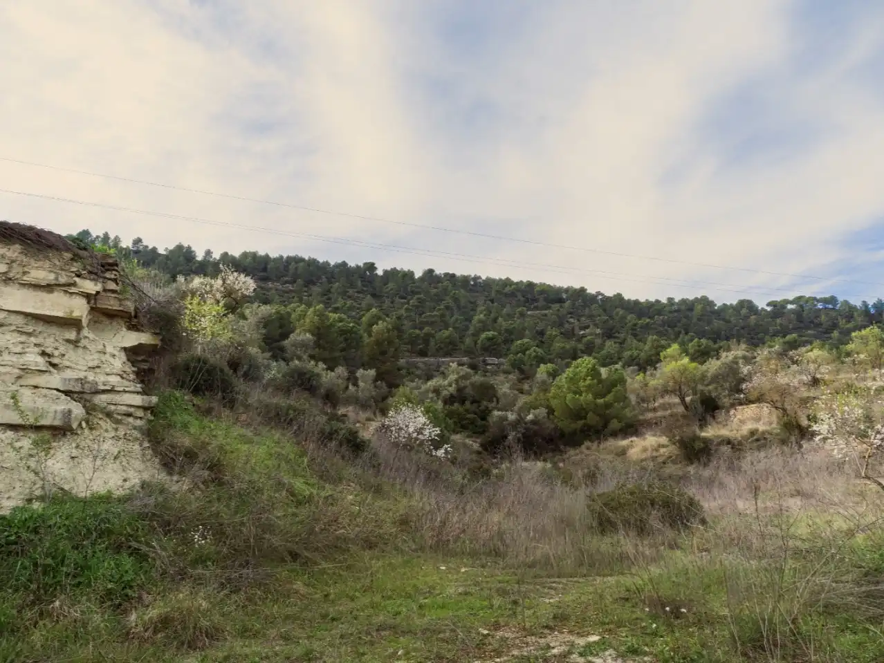 Detached house with garden for sale in Cami cal texidor 11, imagen 34