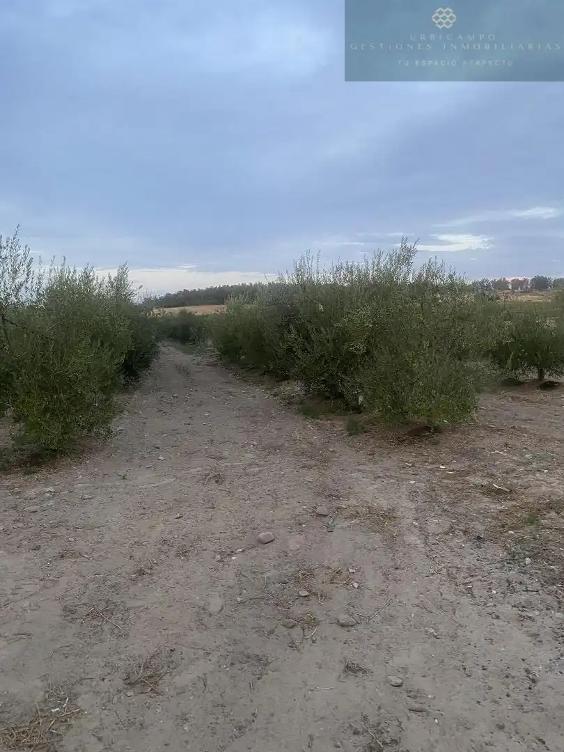 Finca rústica en venda en Calamonte