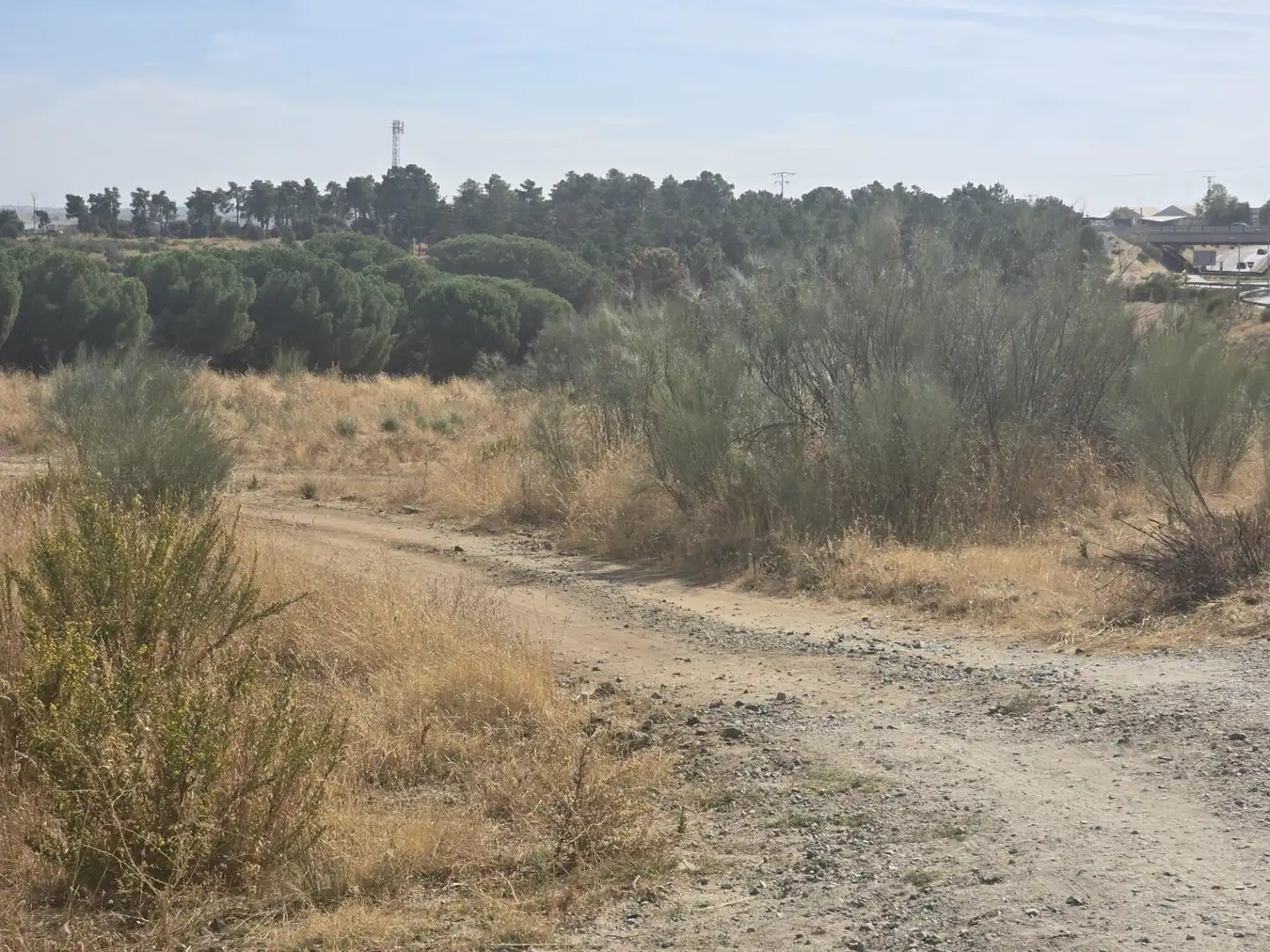 Terreny residencial en venda a La Dehesa - El Pinar, imagen 13