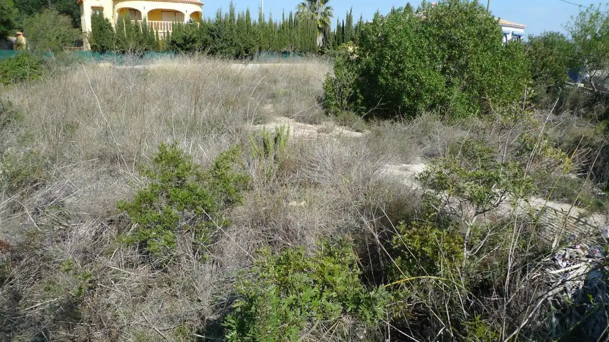 Terreni e lotti in vendita a Oltamar - Cucarres, imagen 13