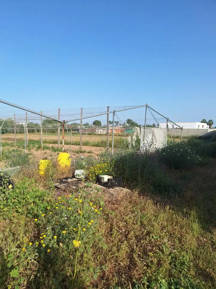 Terreni e lotti in vendita a Pedanías Norte, imagen 10