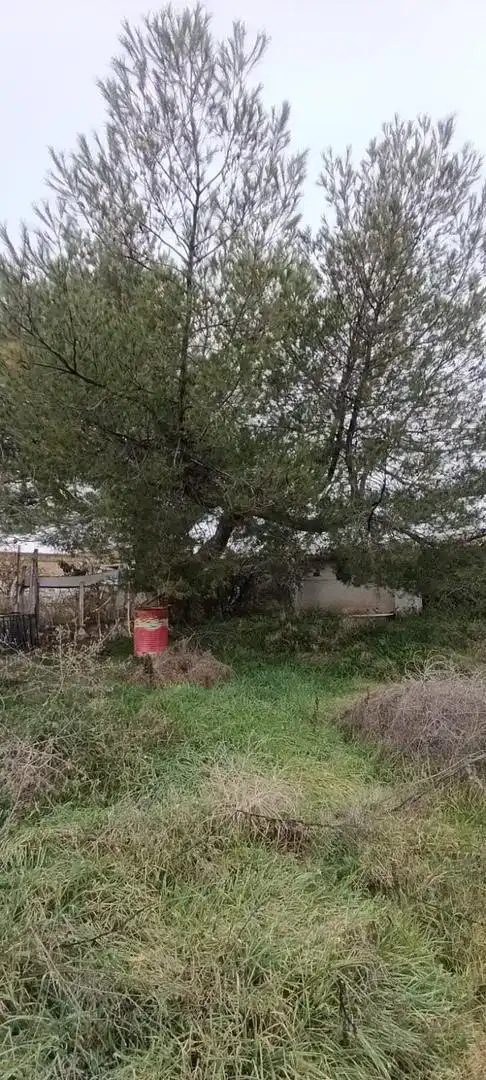Finca rústica en venda en Lillo