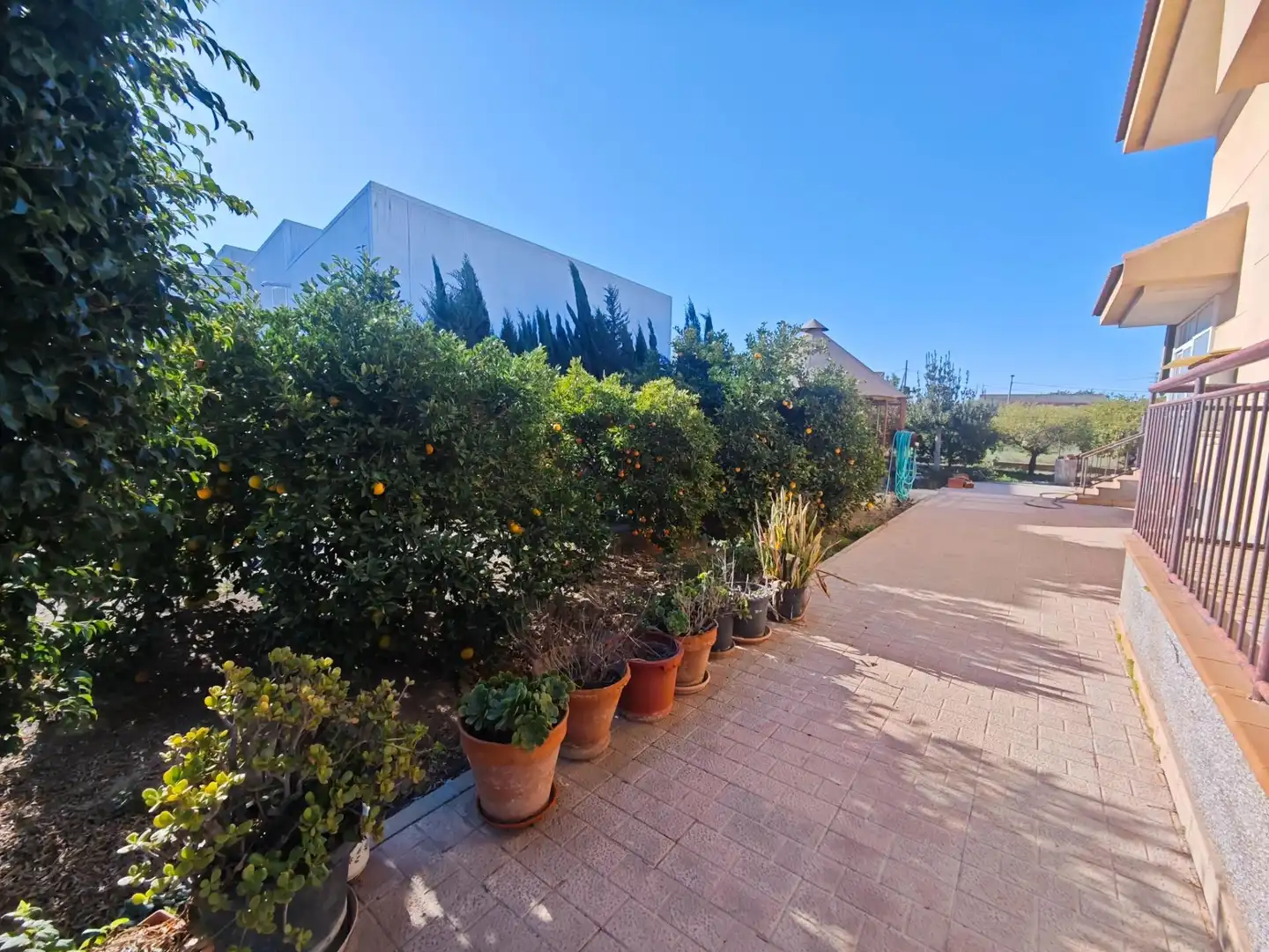 Garden of Houses for sale in Murcia  with Terrace