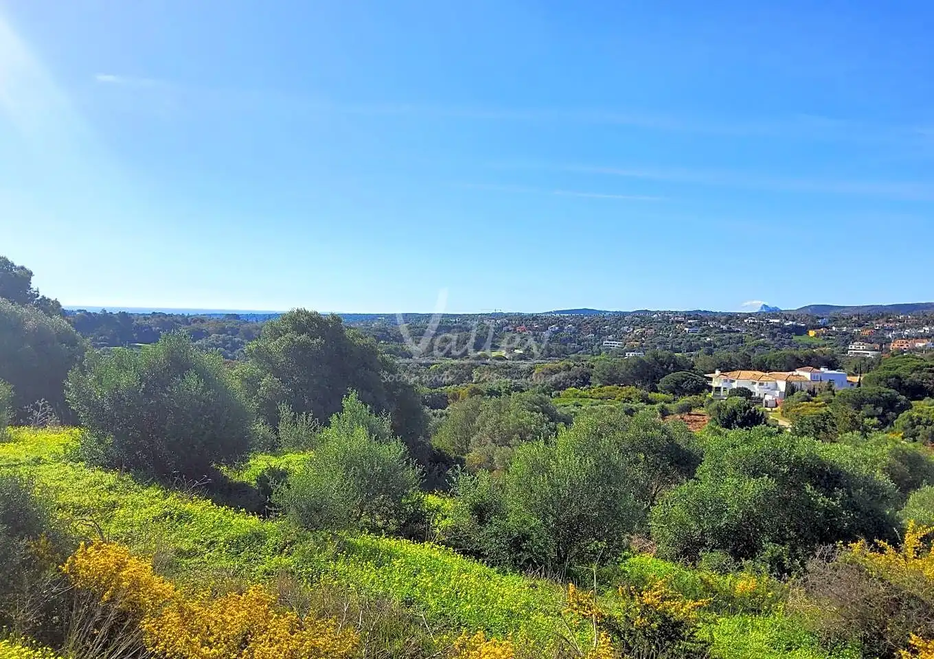 Terrenys i solars en venda a Lavanda En La Reserva De Sotogrande, imagen 10