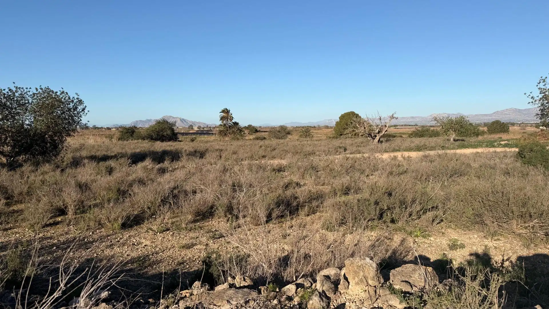 Terreno residencial en venta en La Marina, imagen 40