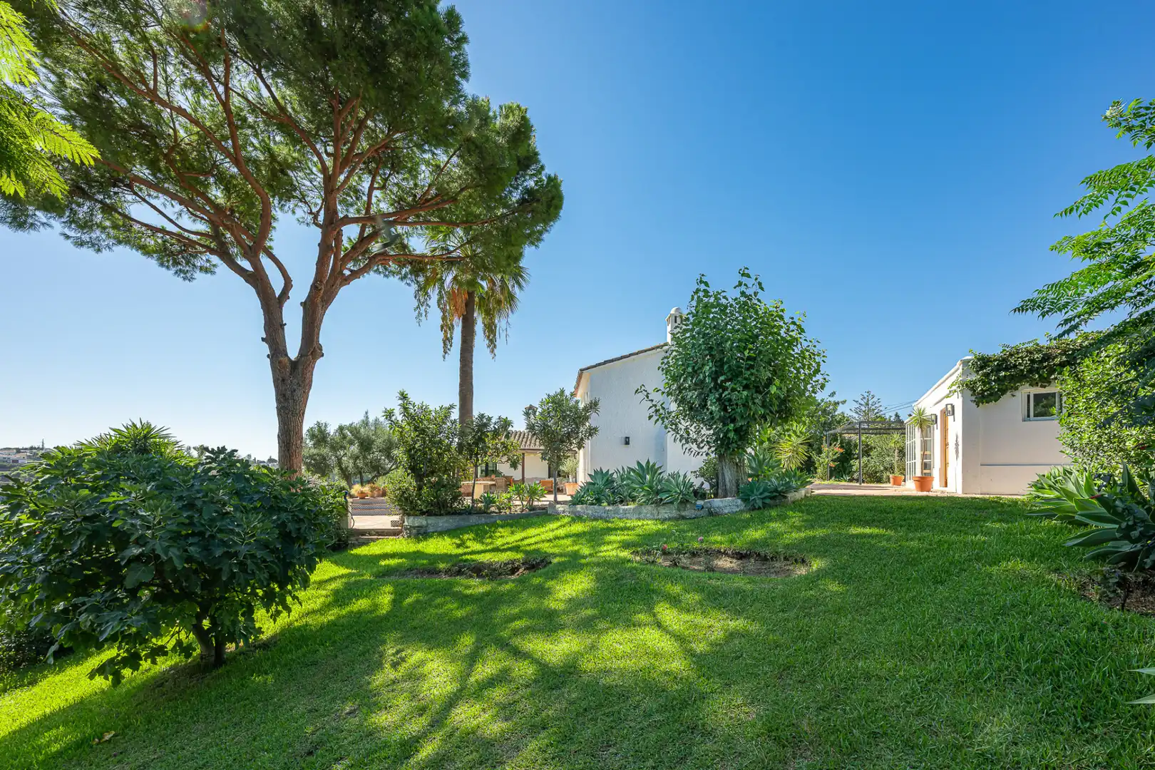 Haus mit Terrasse zum Verkauf in San Pedro de Alcántara, imagen 54