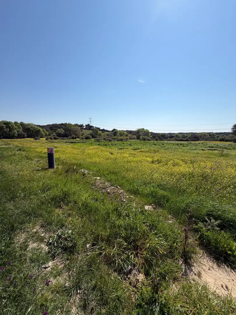 Terreno rustico in vendita a Malpartida de Plasencia, imagen 8