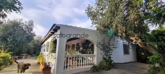 Garden of Country homes for sale in Sotogrande