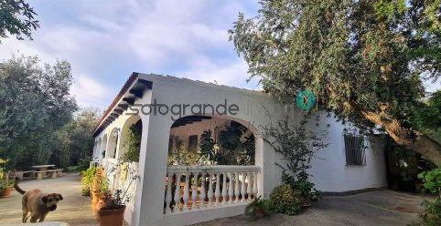 Foto 2 de Finca rústica en venda a San Enrique - Guadiaro -  Pueblo Nuevo, Sotogrande