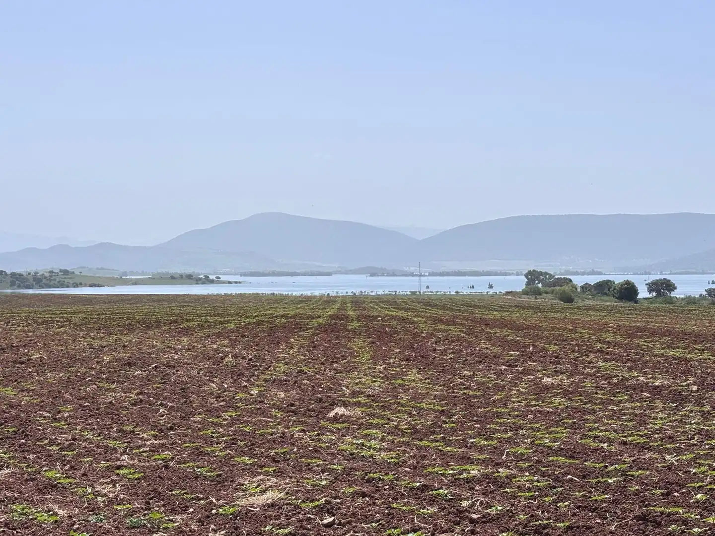 Terreny rústic en venda a Arcos de la Frontera, imagen 12