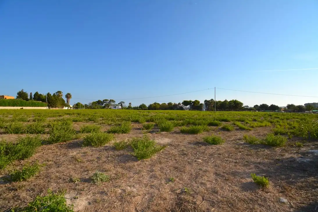 Detached house with garden for sale in La Pedrera - Vessanes, imagen 13