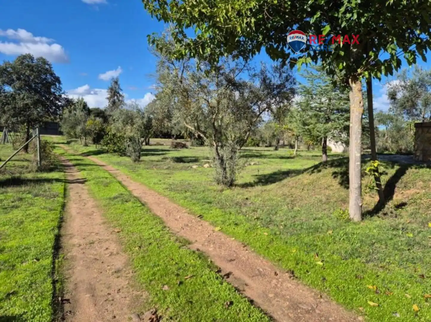 Casa amb jardí en venda a Avenida Elvas, imagen 28