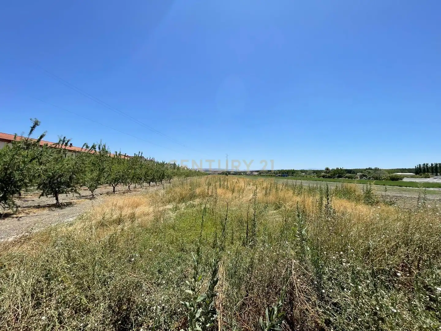 Terrains et parcelles à vendre à Camino del Cuarto, Fuente Vaqueros, Spain, imagen 4