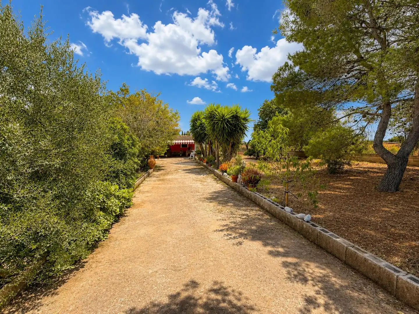 Jardín de Casa o chalet en venta en Santa Eugènia con Jardín privado y Terraza