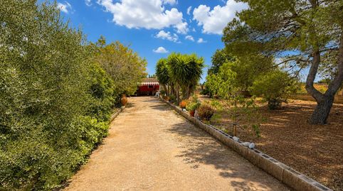 Foto 4 de Casa o xalet en venda a Diseminados Var, Santa Eugènia, Illes Balears