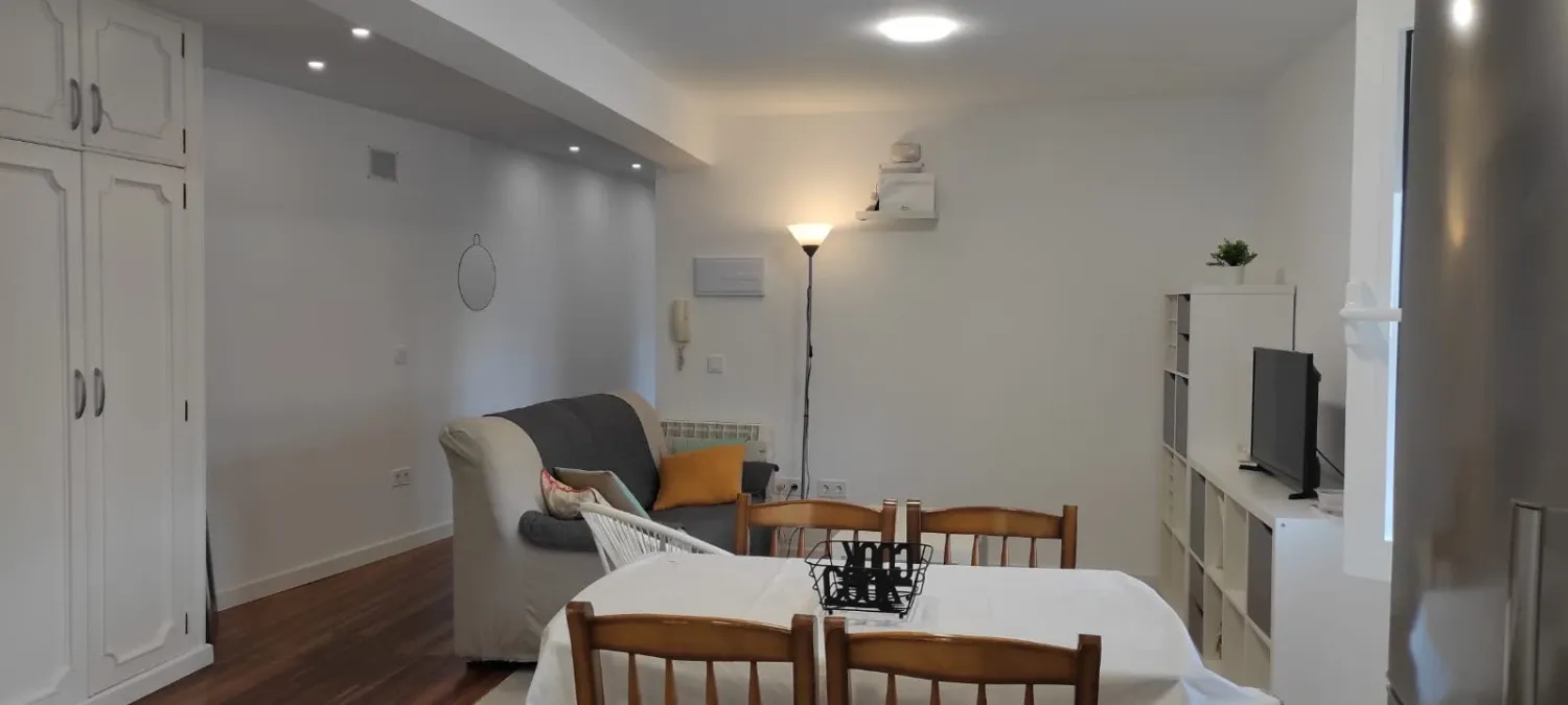 Sala d'estar de Pis de lloguer en Donostia - San Sebastián  amb Moblat i Rentadora