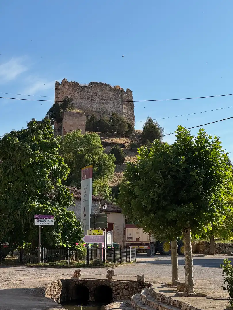 Exterior view of Country homes for sale in Castillejo de Robledo  with Heating, Terrace and Storage room