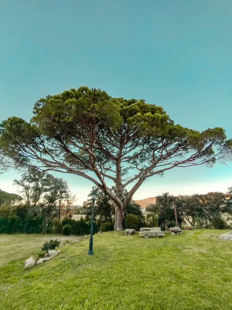 Jardí de Finca rústica en venda en Santa Cristina d'Aro amb Aire condicionat, Calefacció i Jardí privat