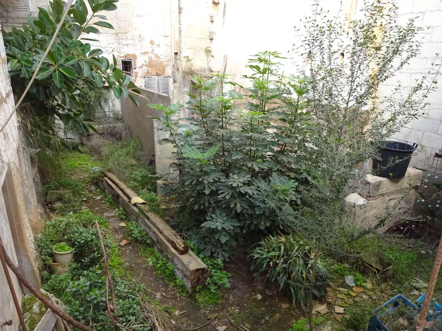 Jardí de Casa o xalet en venda en Muro amb Jardí privat, Terrassa i Traster
