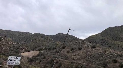 Photo 5 of Land for sale in Pozo Higuera, Lorca