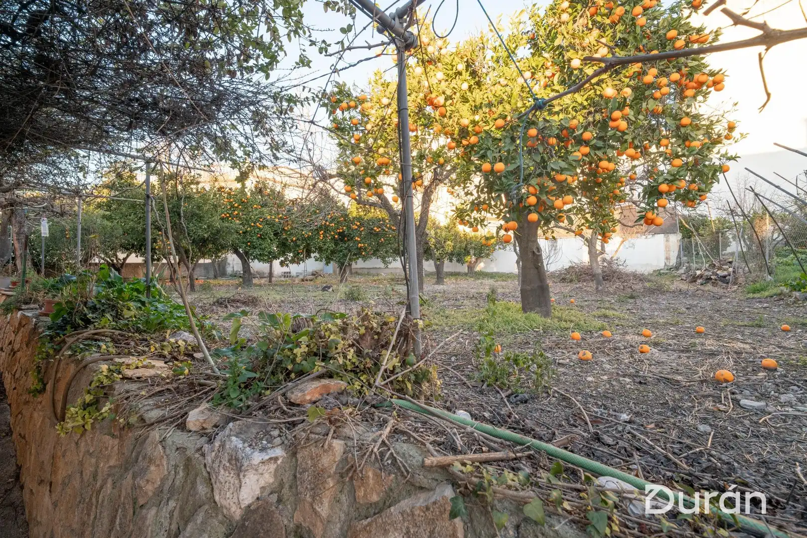 Finca rústica en venda en Alcolea amb Aire condicionat, Jardí privat i Traster