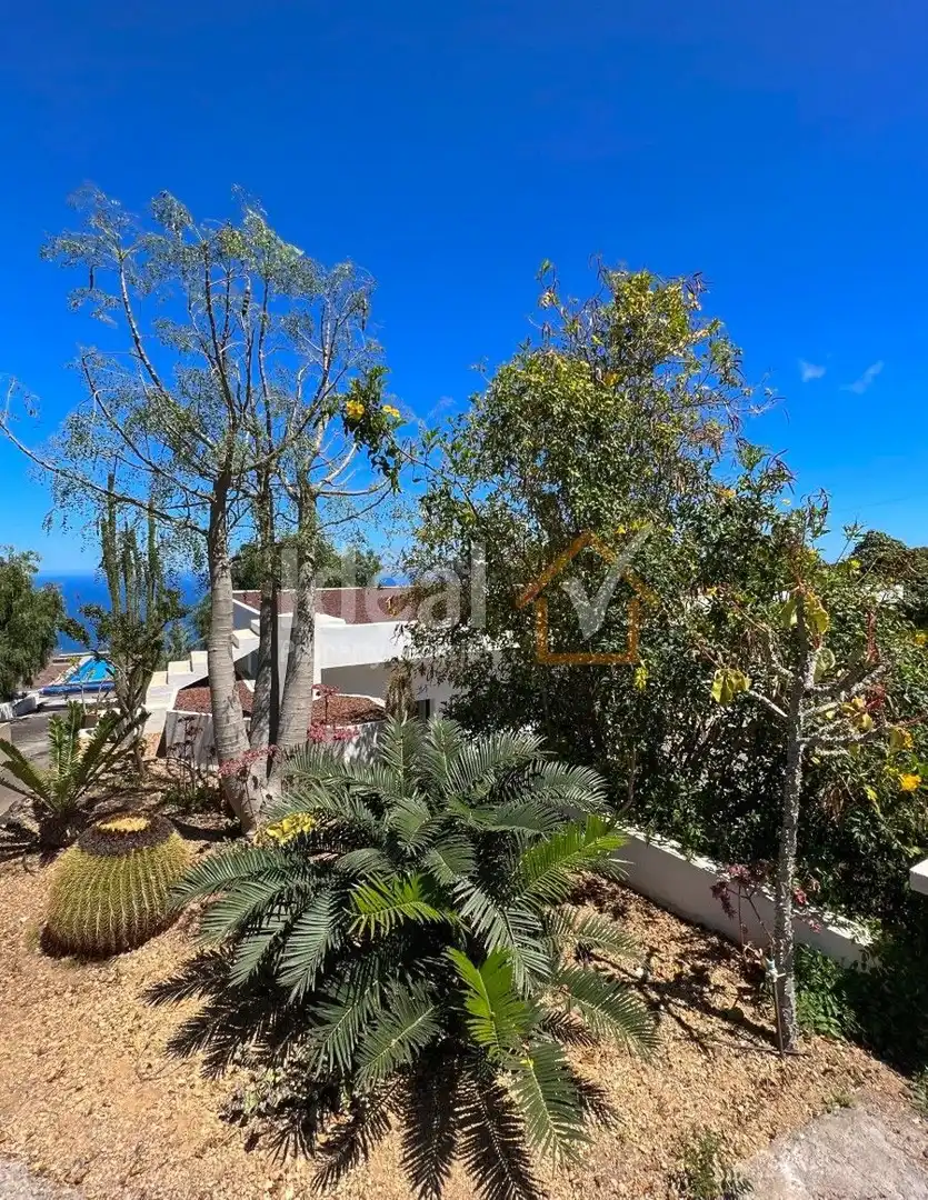 Exterior view of Houses for sale in Güímar  with Private garden, Terrace and Swimming Pool