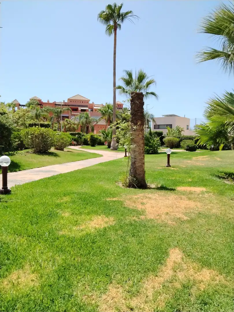 Apartament de lloguer a Playa de Granada